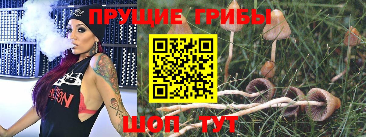 Галлюциногенные грибы Psilocybe  Вход с VPN  Кингисепп  Псилоцибиновые грибы ЛСД 